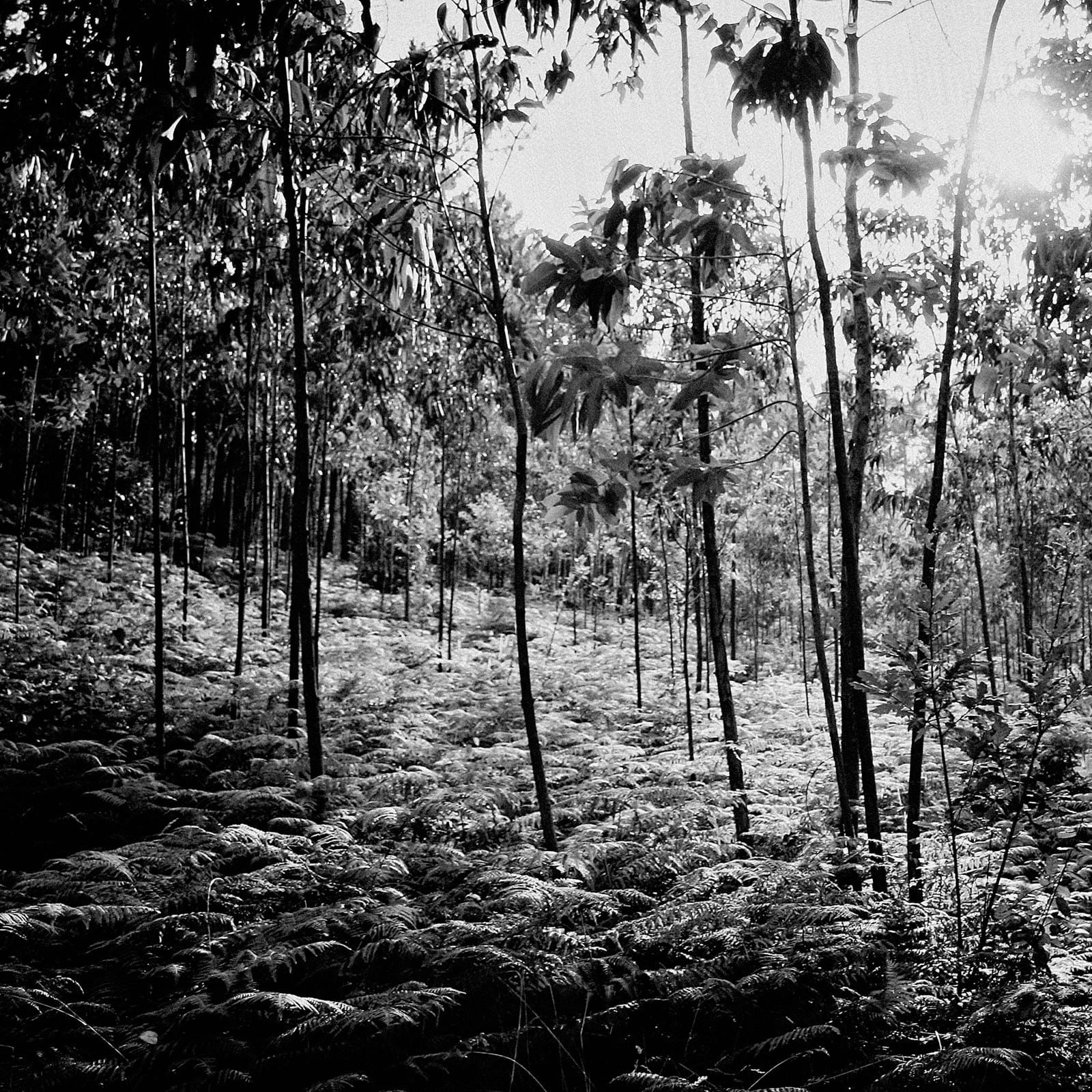 Fotografía Joaquín Puga