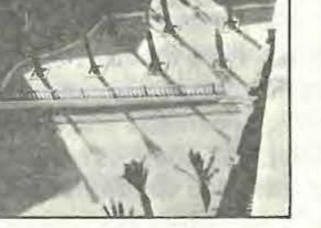 La Romanilla: barandillas y palmeras jóvenes de la plaza